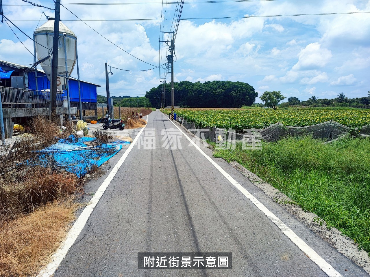 柳營旭山低總價農地