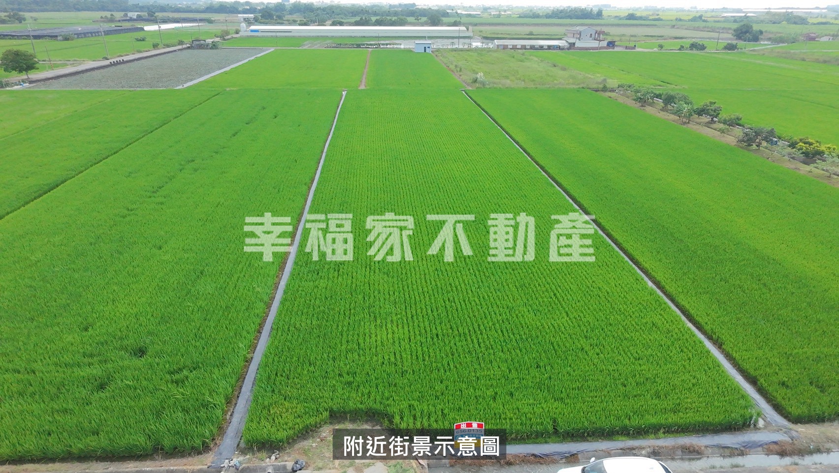 柳營新厝大路旁優質農地
