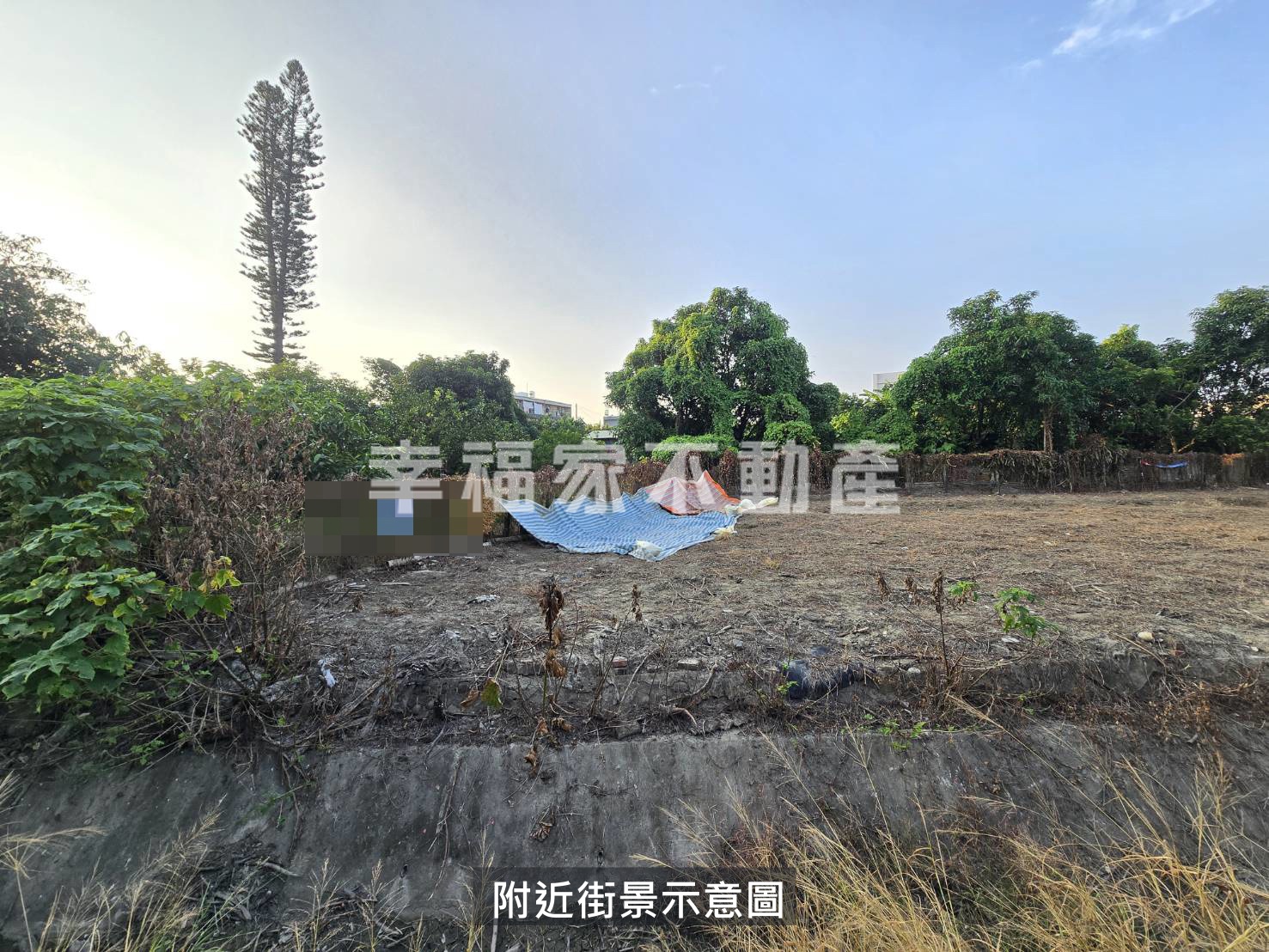 持分清水優質特農珍稀農地