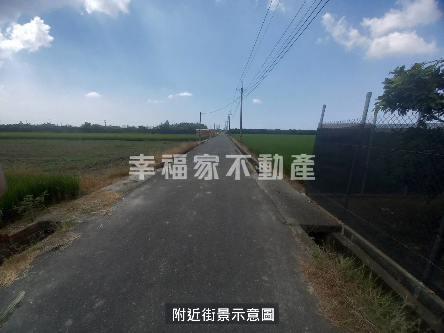 茅港尾段有水電優質柚園