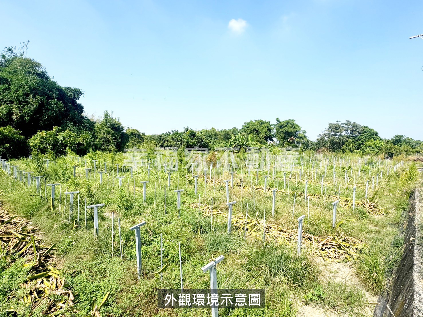 柳營3.5分美農地