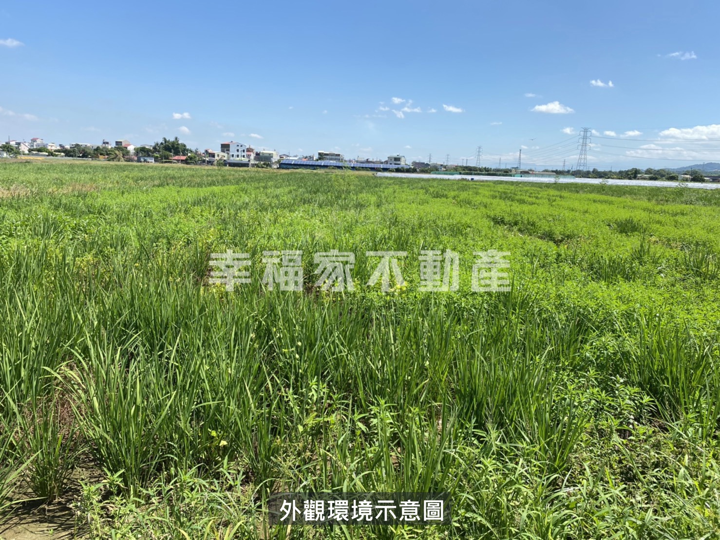 柳營2分方正美農地