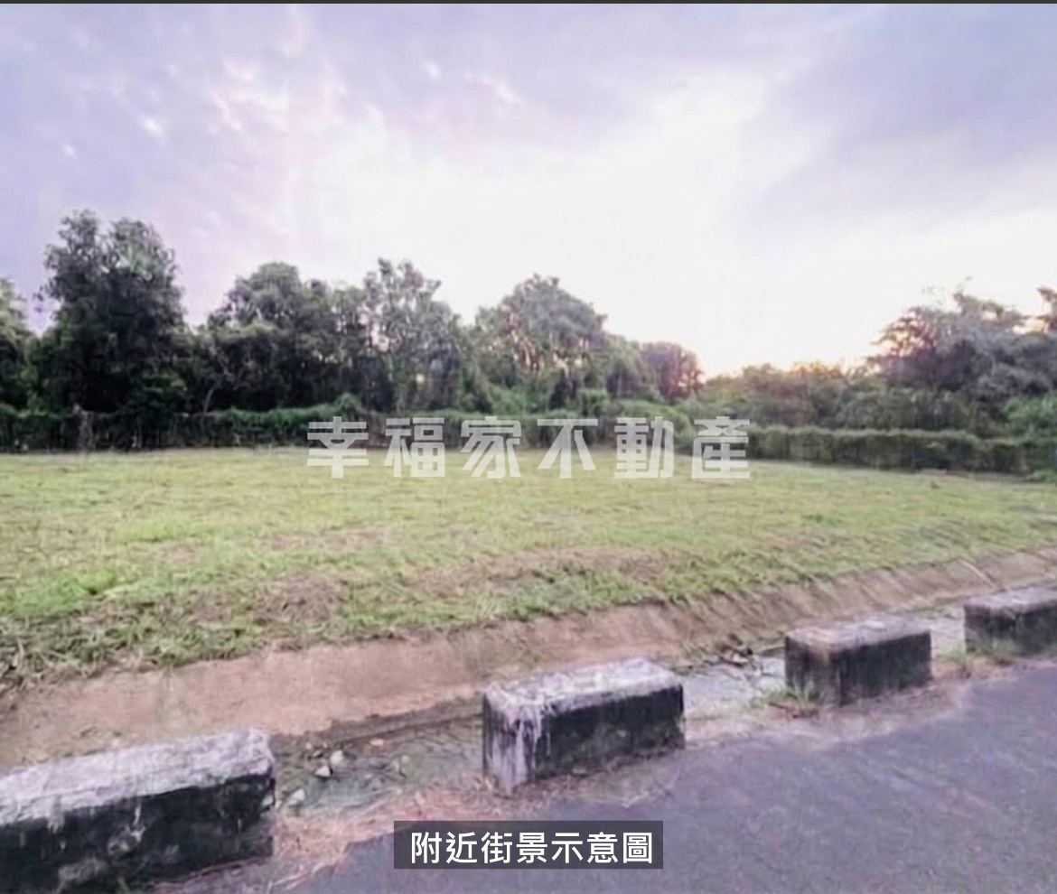 持分清水優質特農珍稀農地