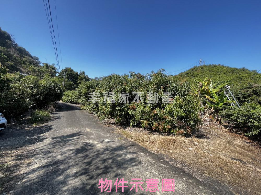 持分玉井斗六仔豐收果園