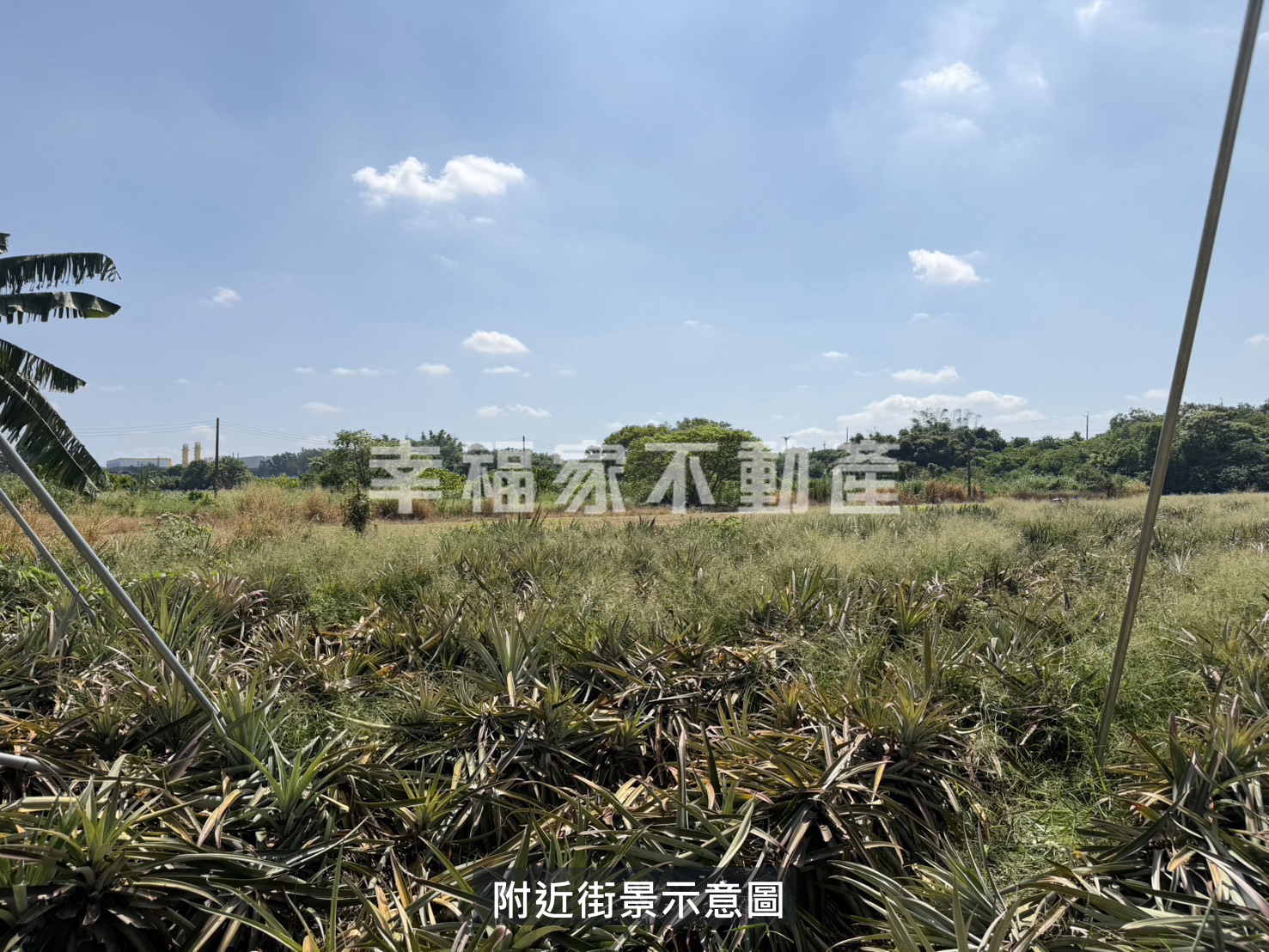 新市大社正175縣一般農