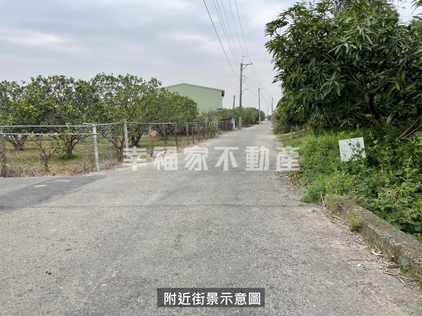 專麻豆一分半都內農地