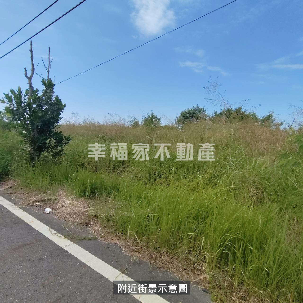 專-七股後港大面寬養地