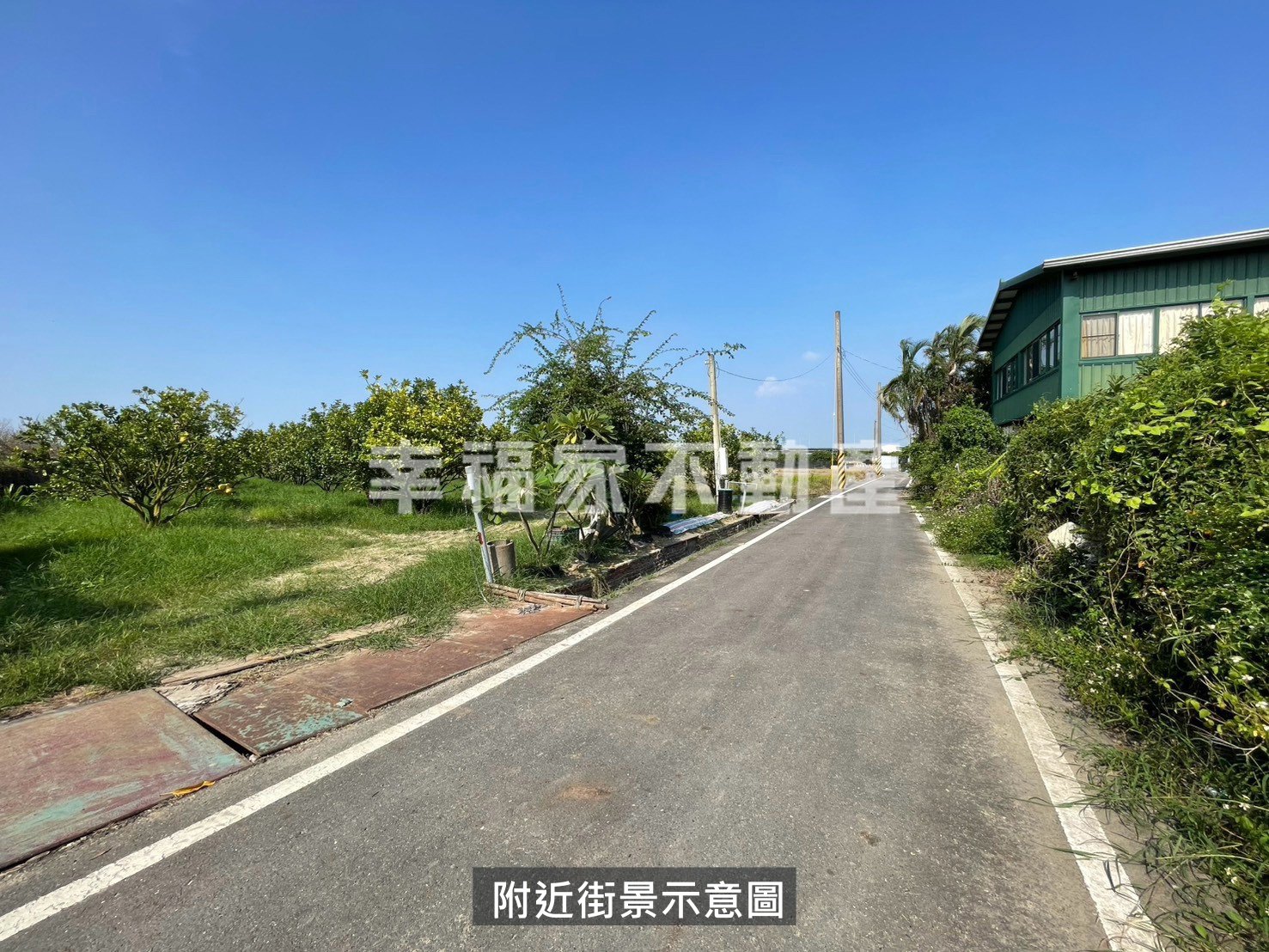 近麻豆監理站柚子園