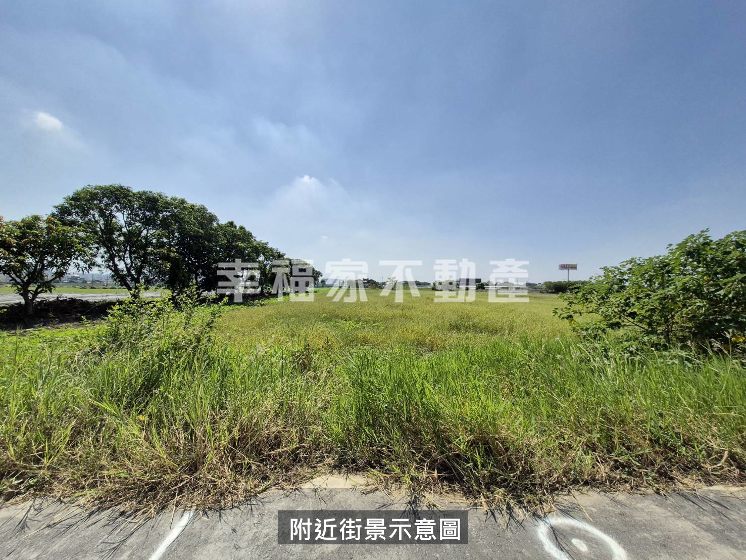 安定1089都內美農地