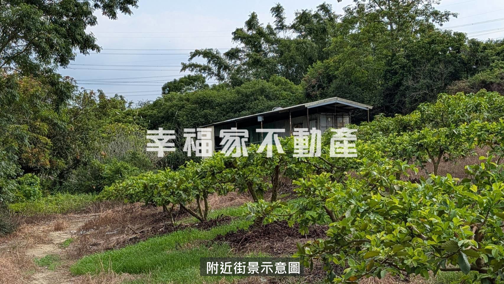 大內新中營區旁農牧用地