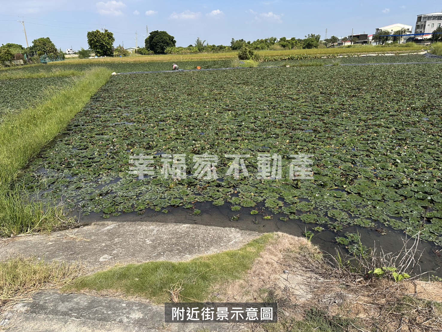 官田西庄隆西良田