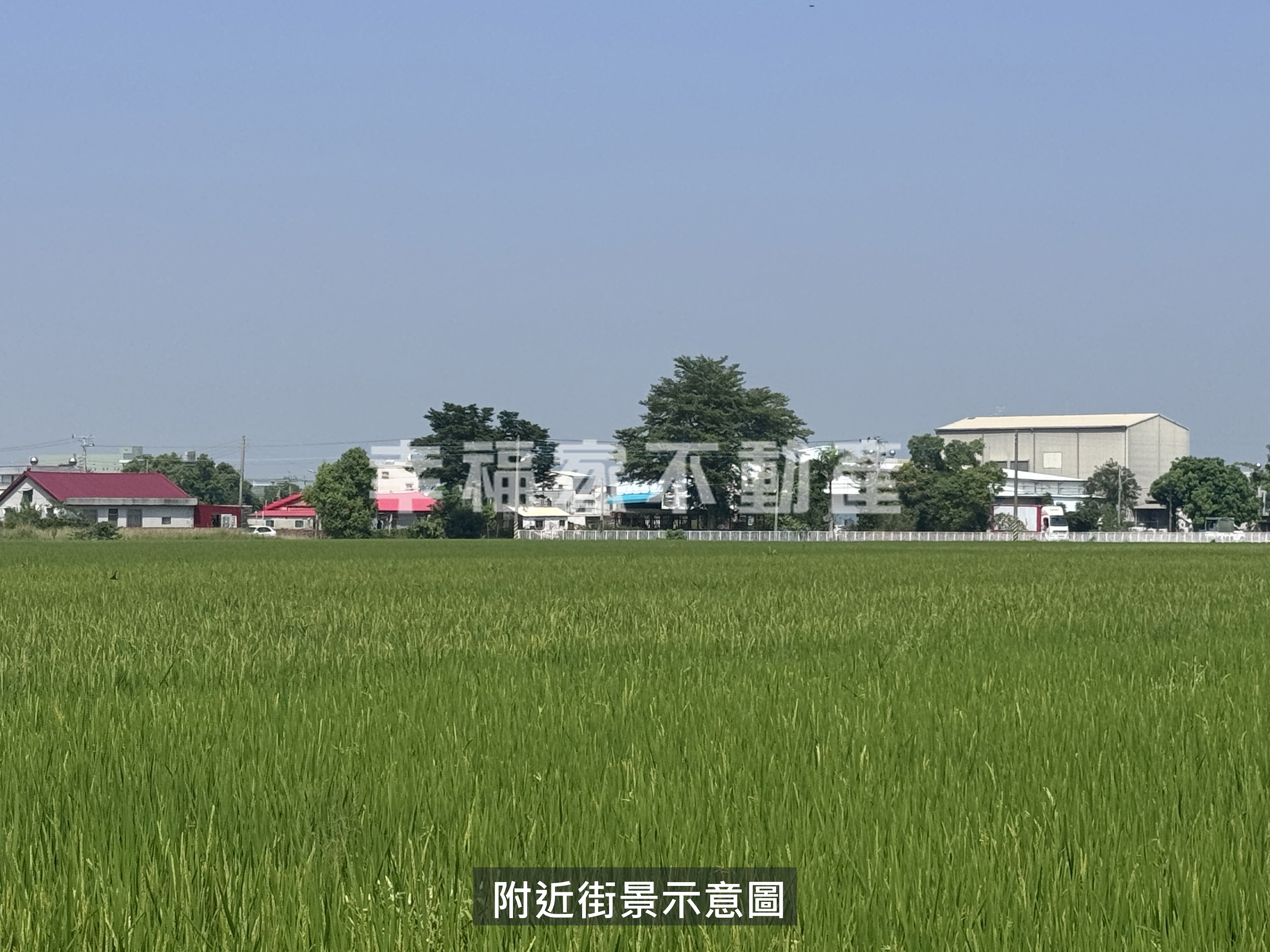 後壁近村莊方正漂亮美農地1