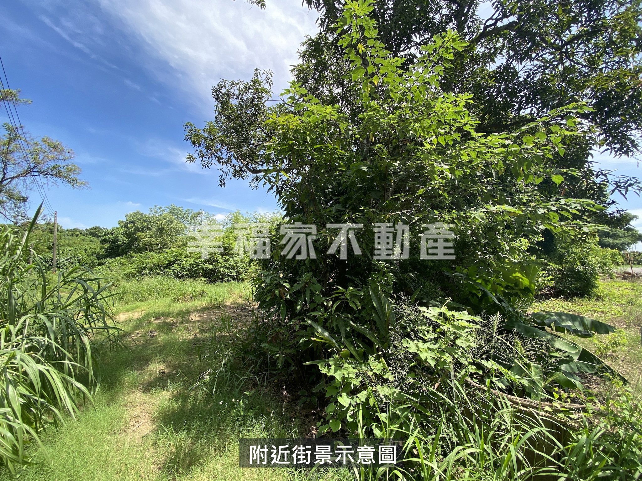 專-歸仁高發潛力大坪數農地