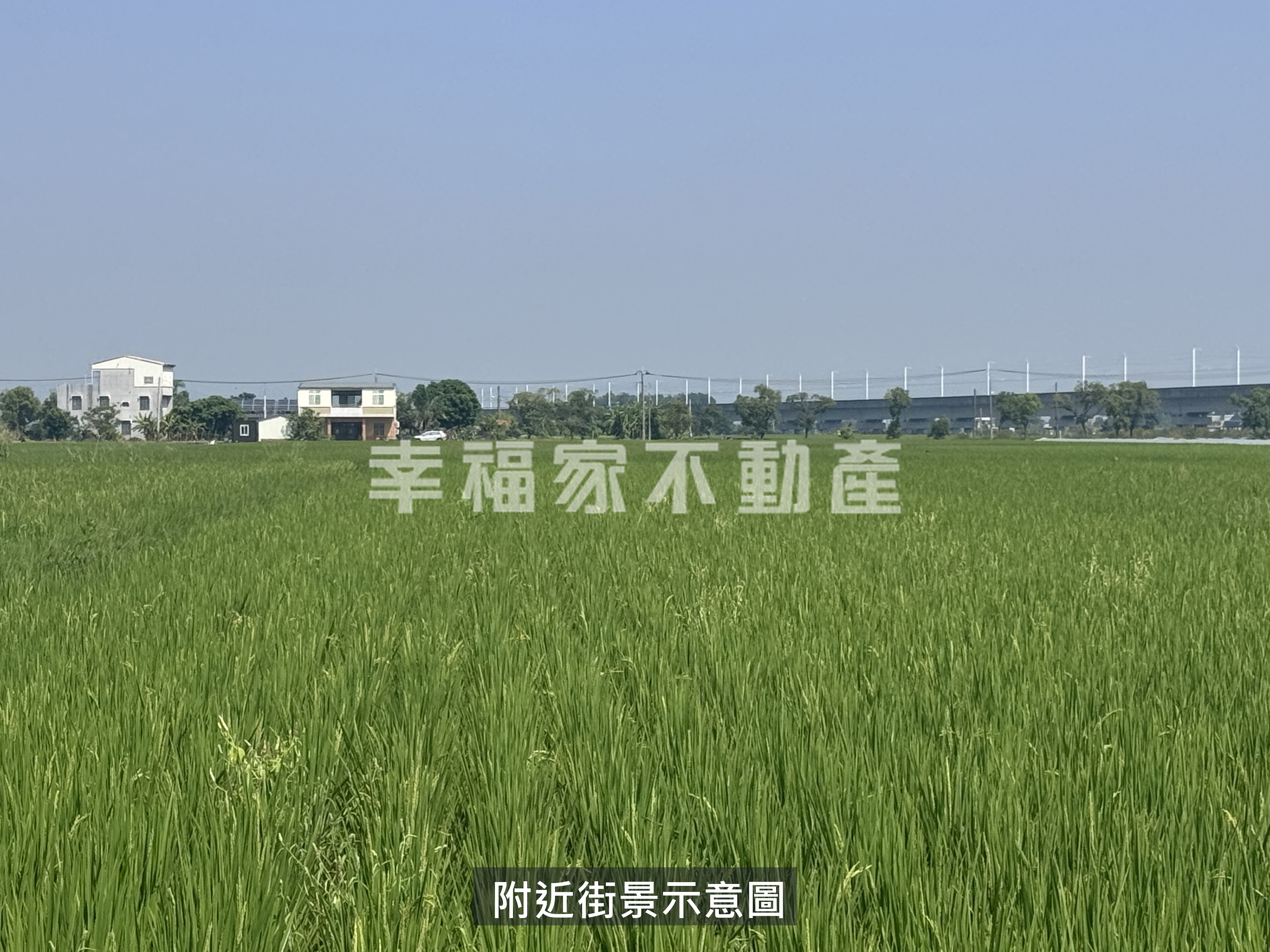 後壁近村莊方正漂亮美農地2