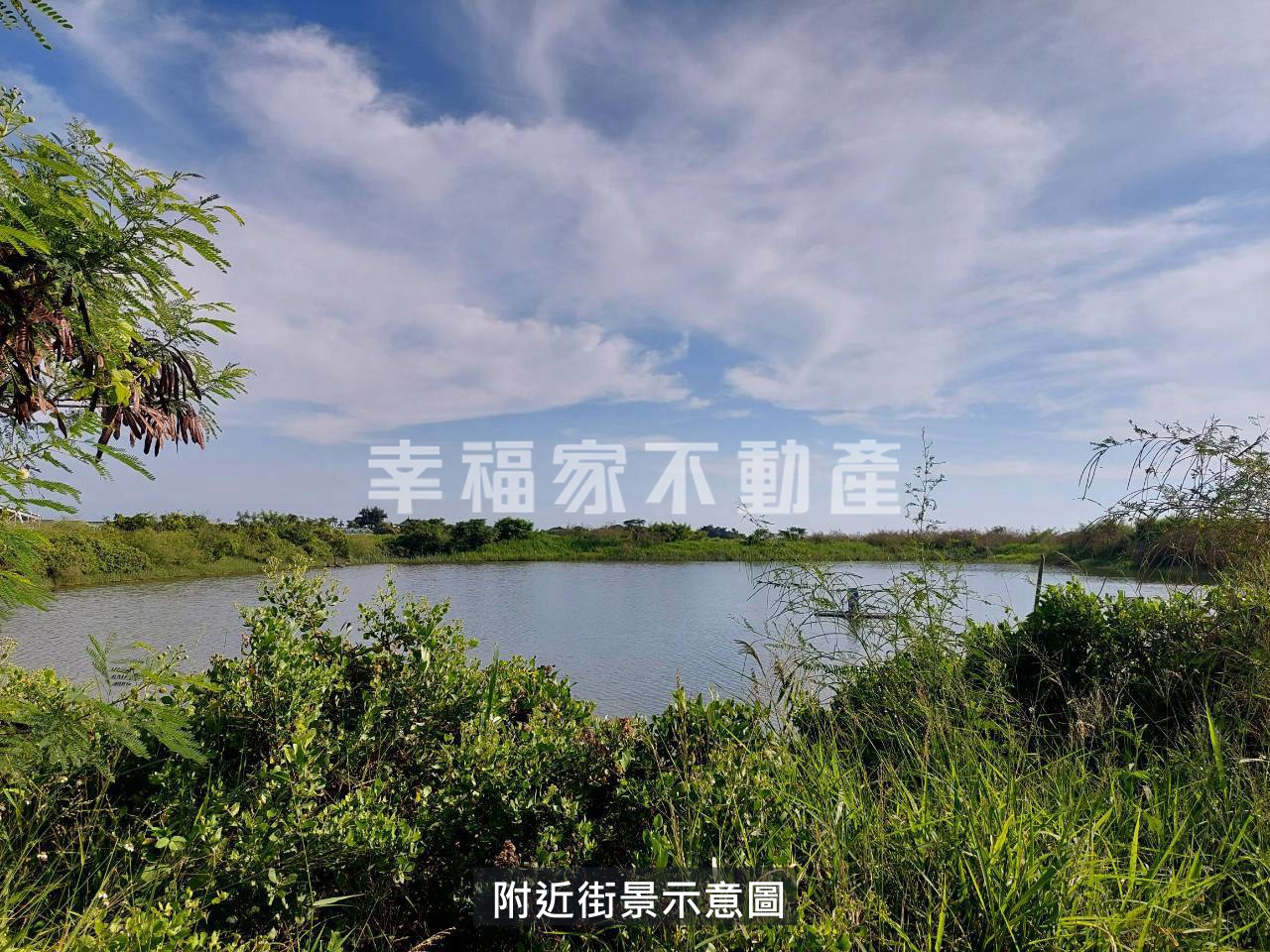 將軍自由放養7分漁塭