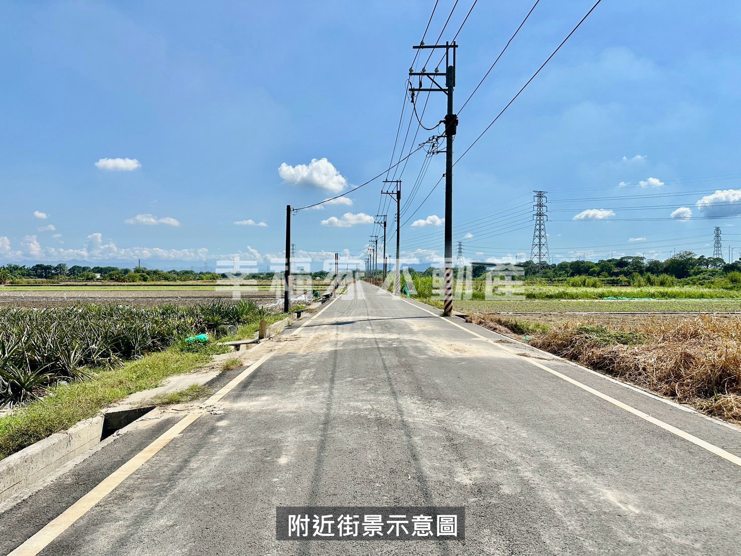 近新市產業園區6米路農地