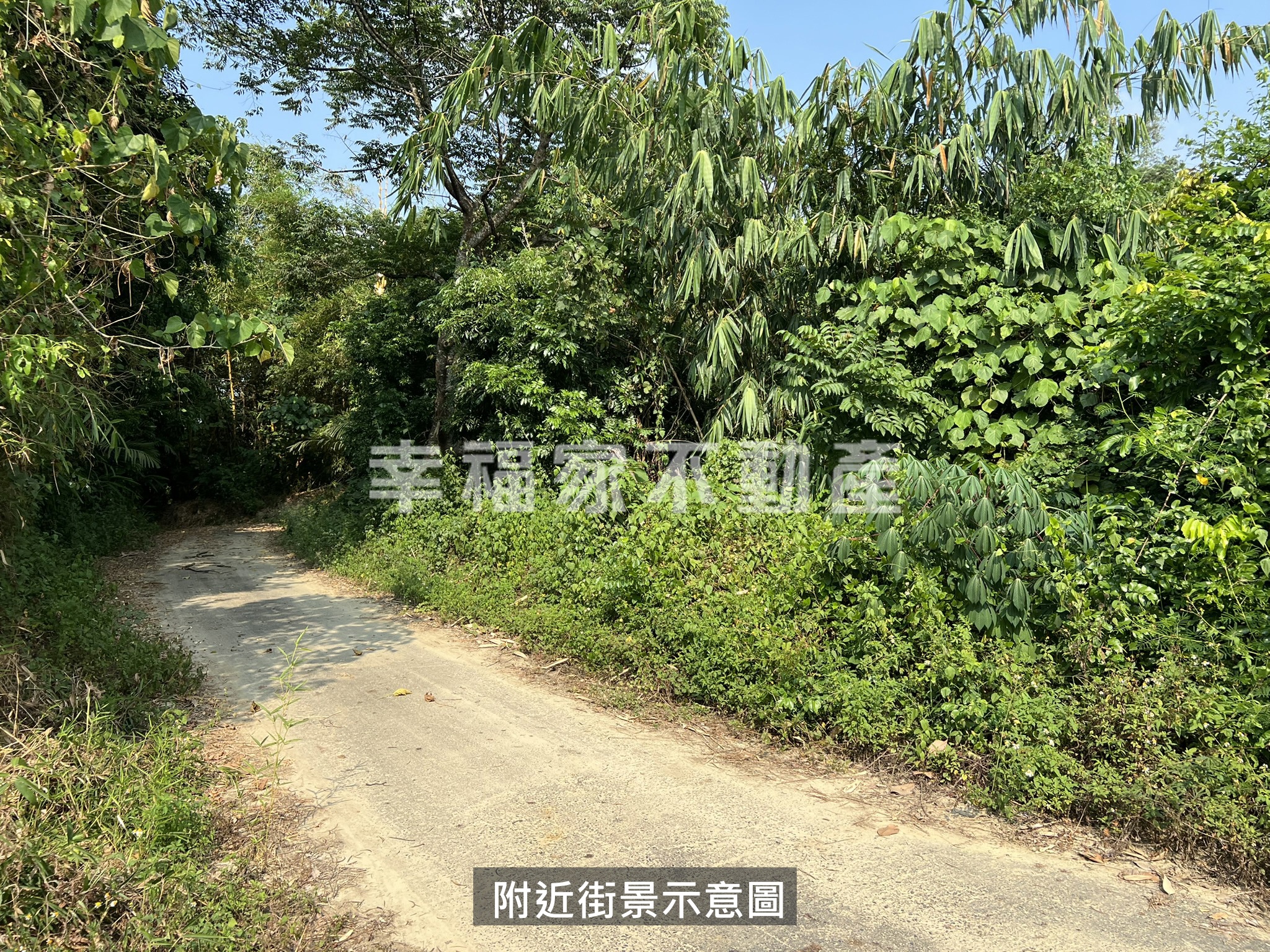 近大坑農場7.8分超值森林