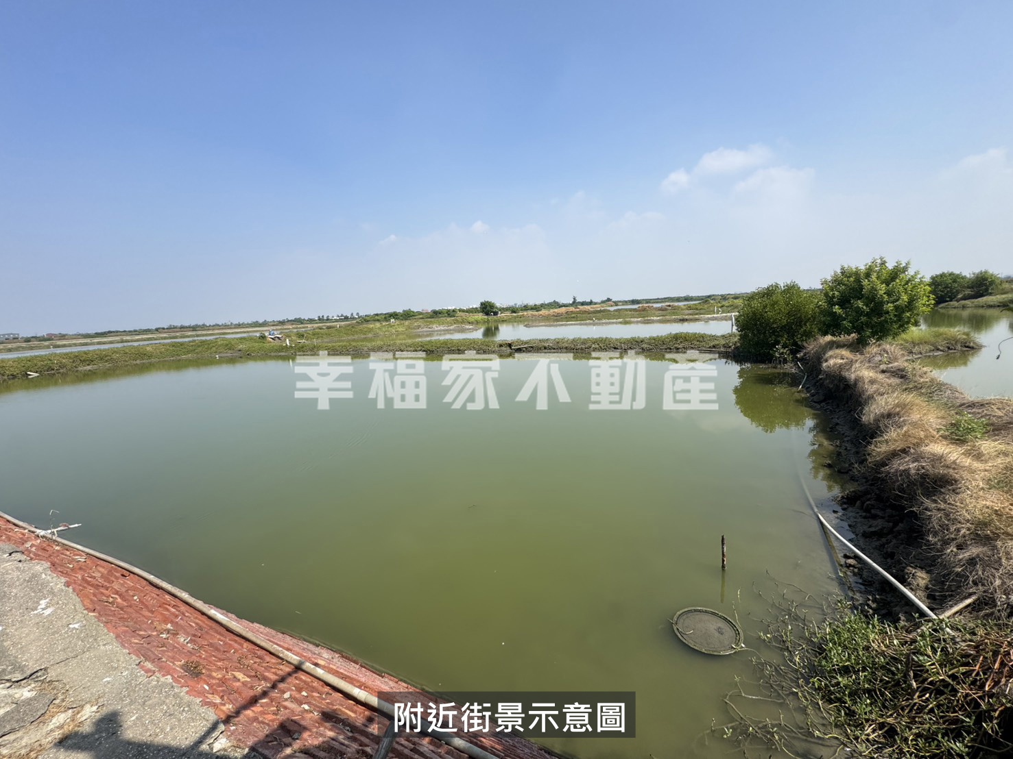 近安清路96養殖12