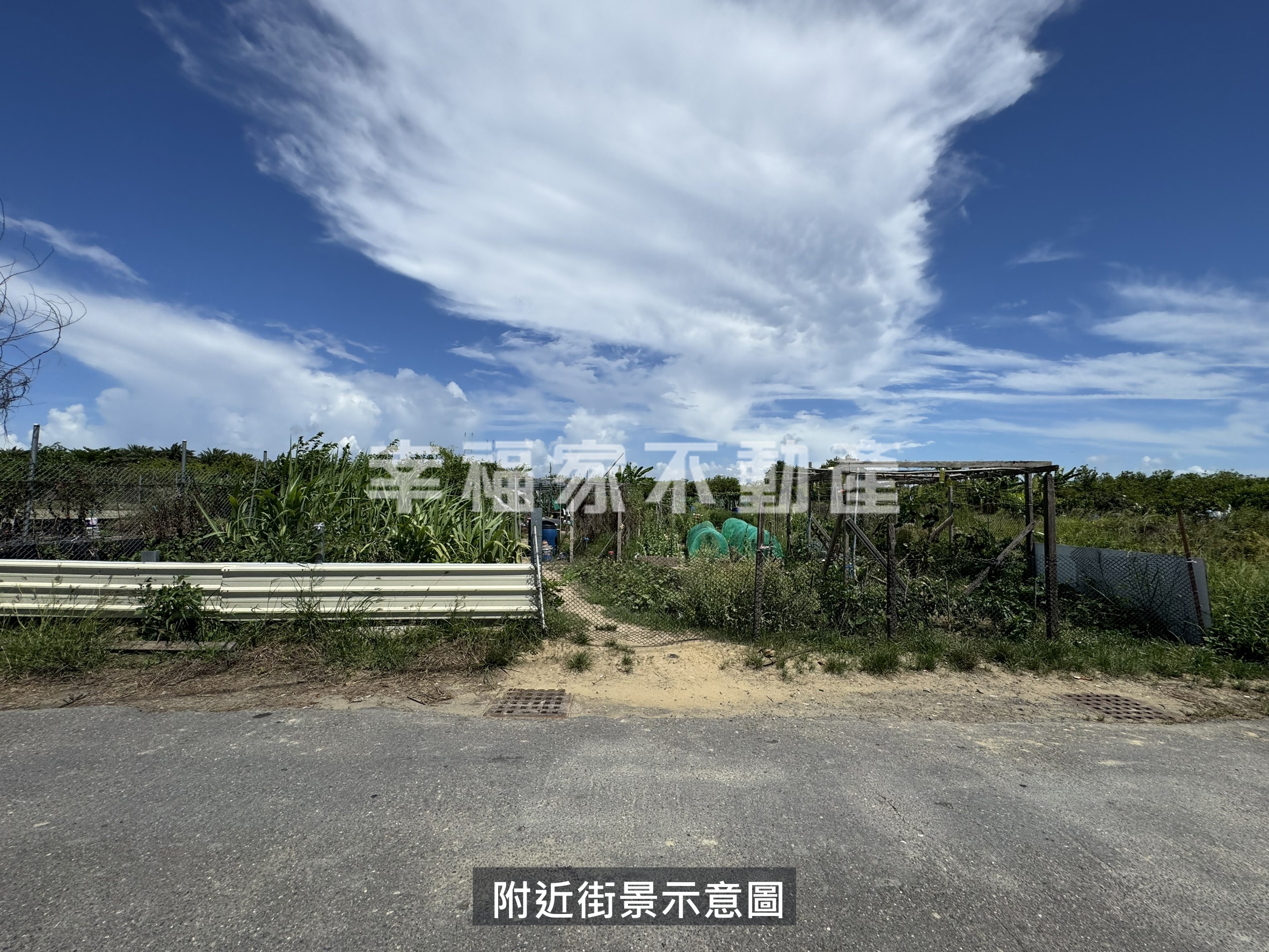 安南海環街250坪都內農地