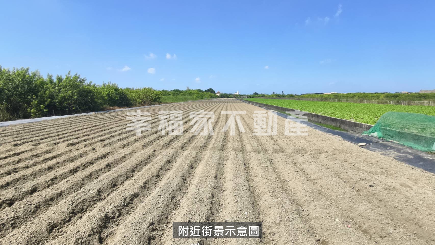 安南學東段農地