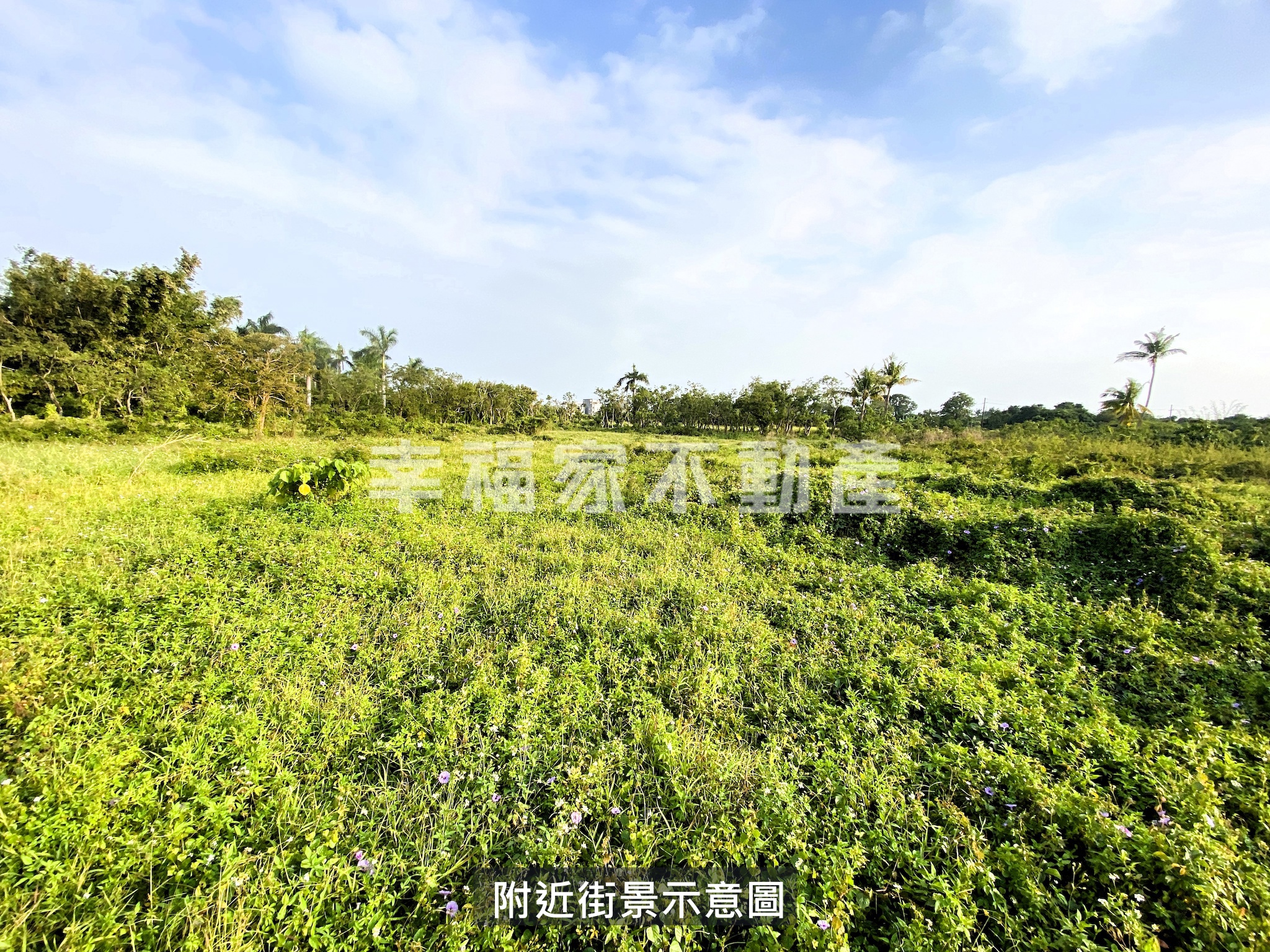 歸仁區段徵收210農地