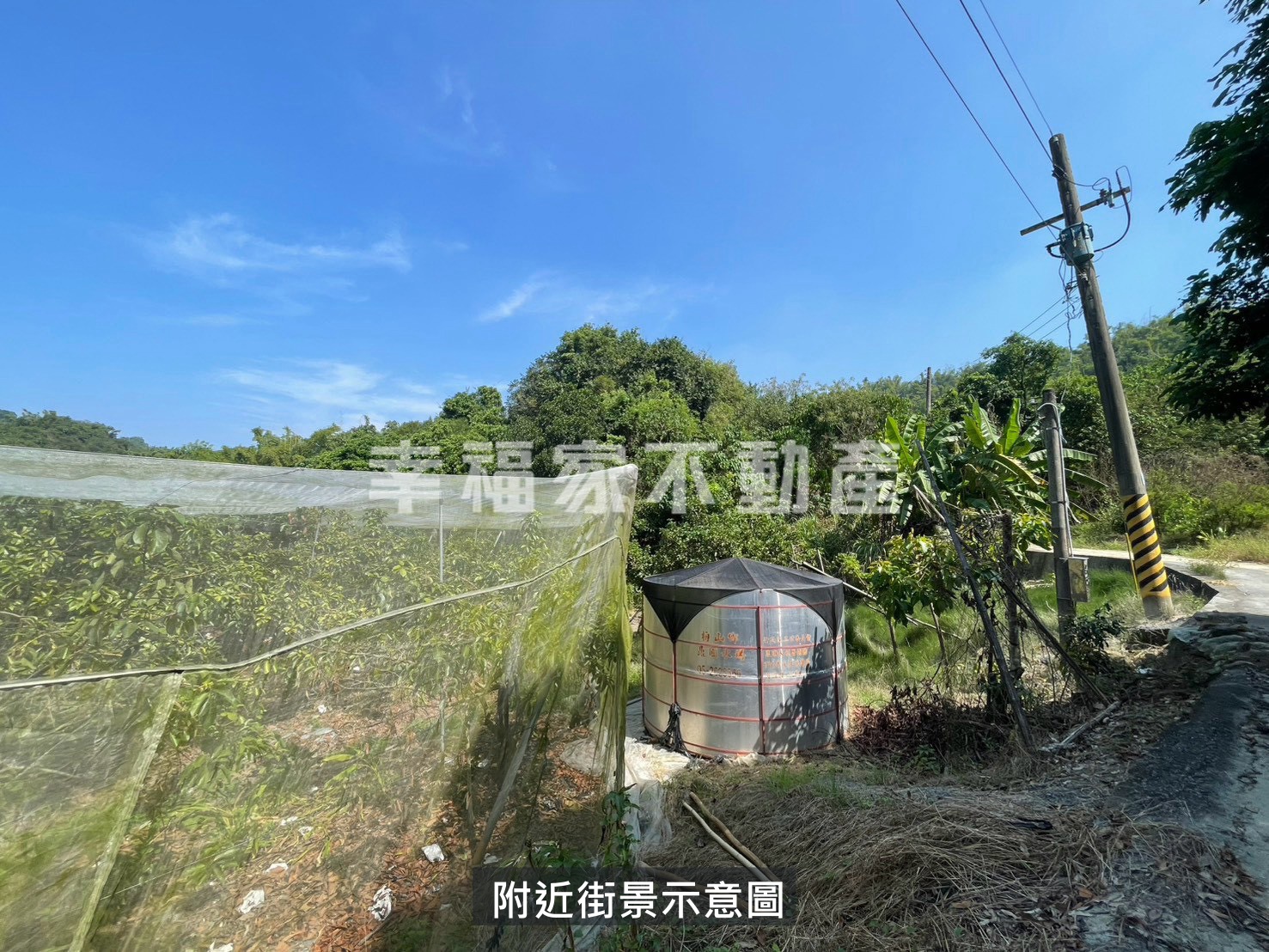 大內4.5分優質酪梨田