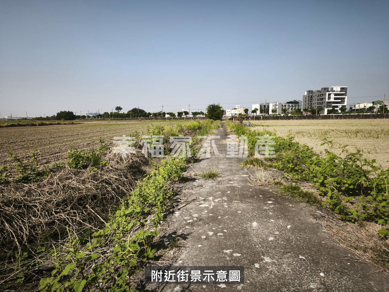 新市潛力都內農地