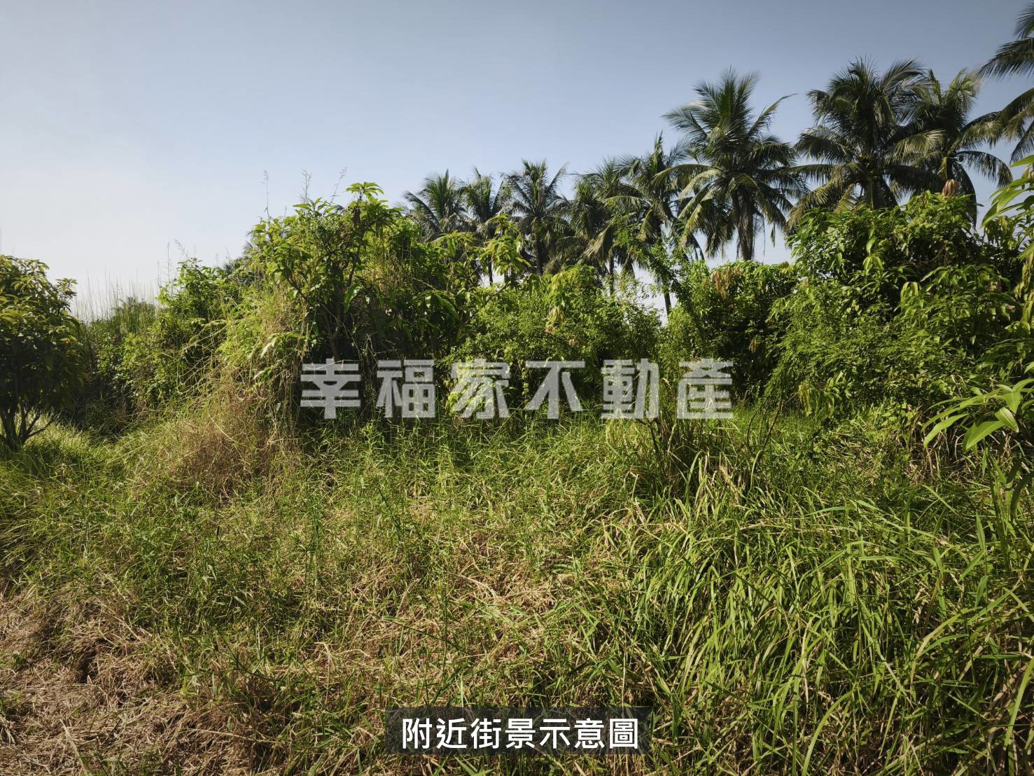 大洲一般農業區農地