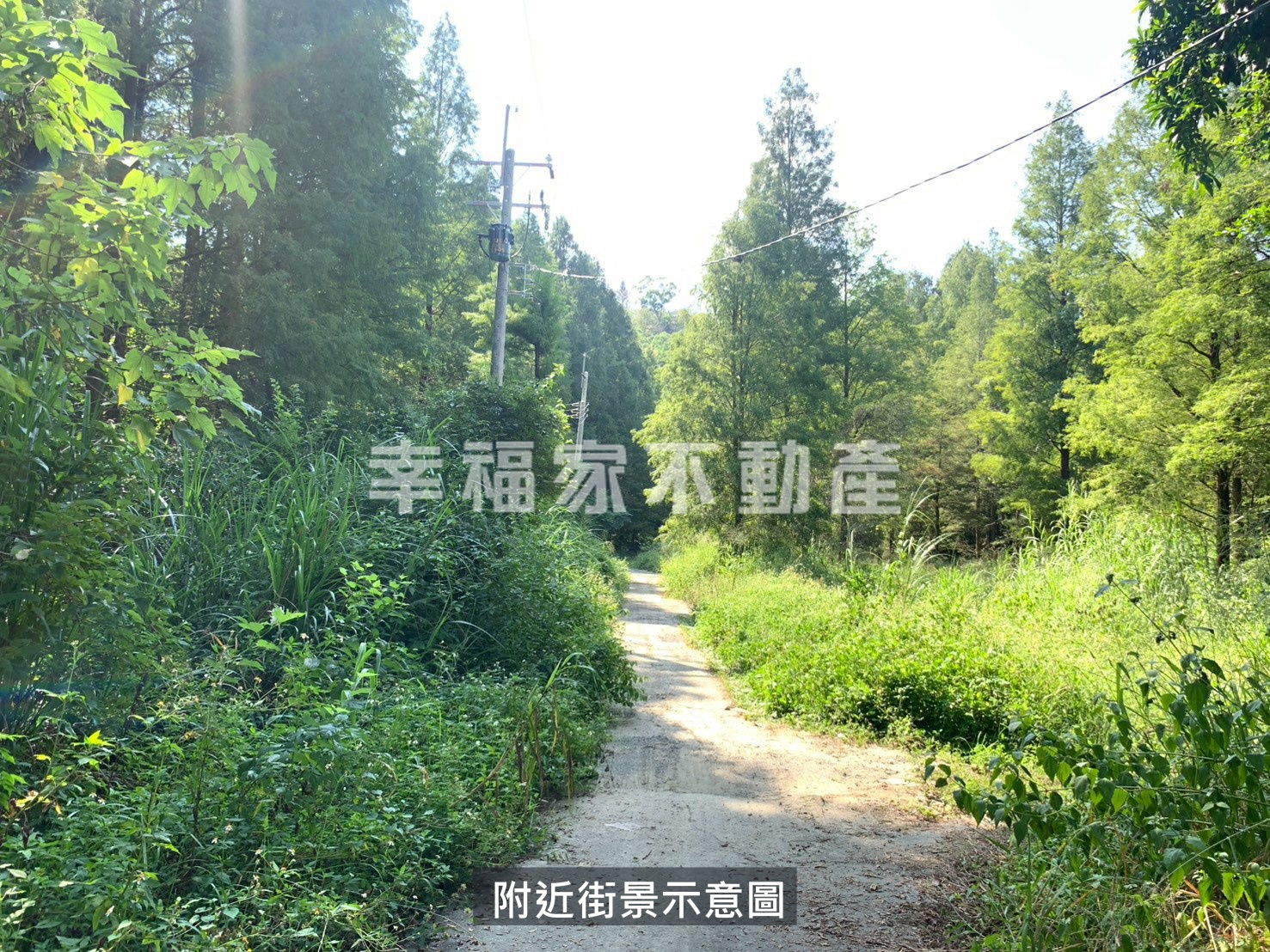 台影文化城六溪分校5甲6農