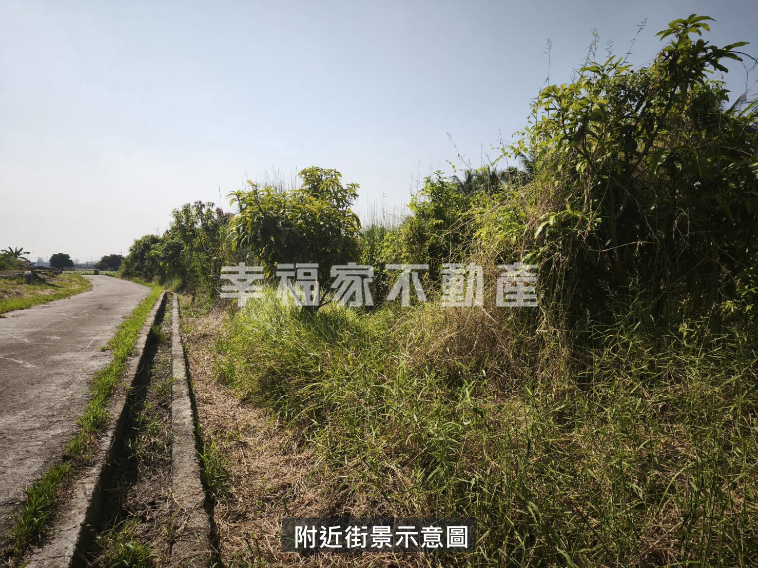 新市潛力都內農地