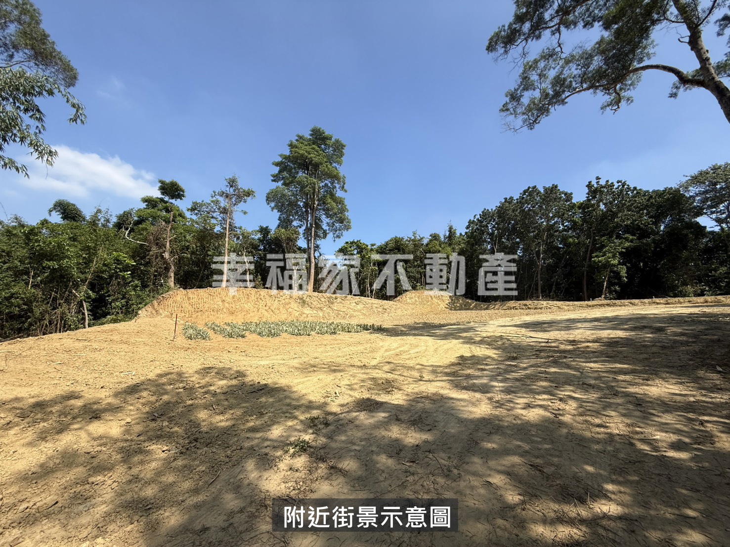 龍崎便宜可農保平坦農地。專