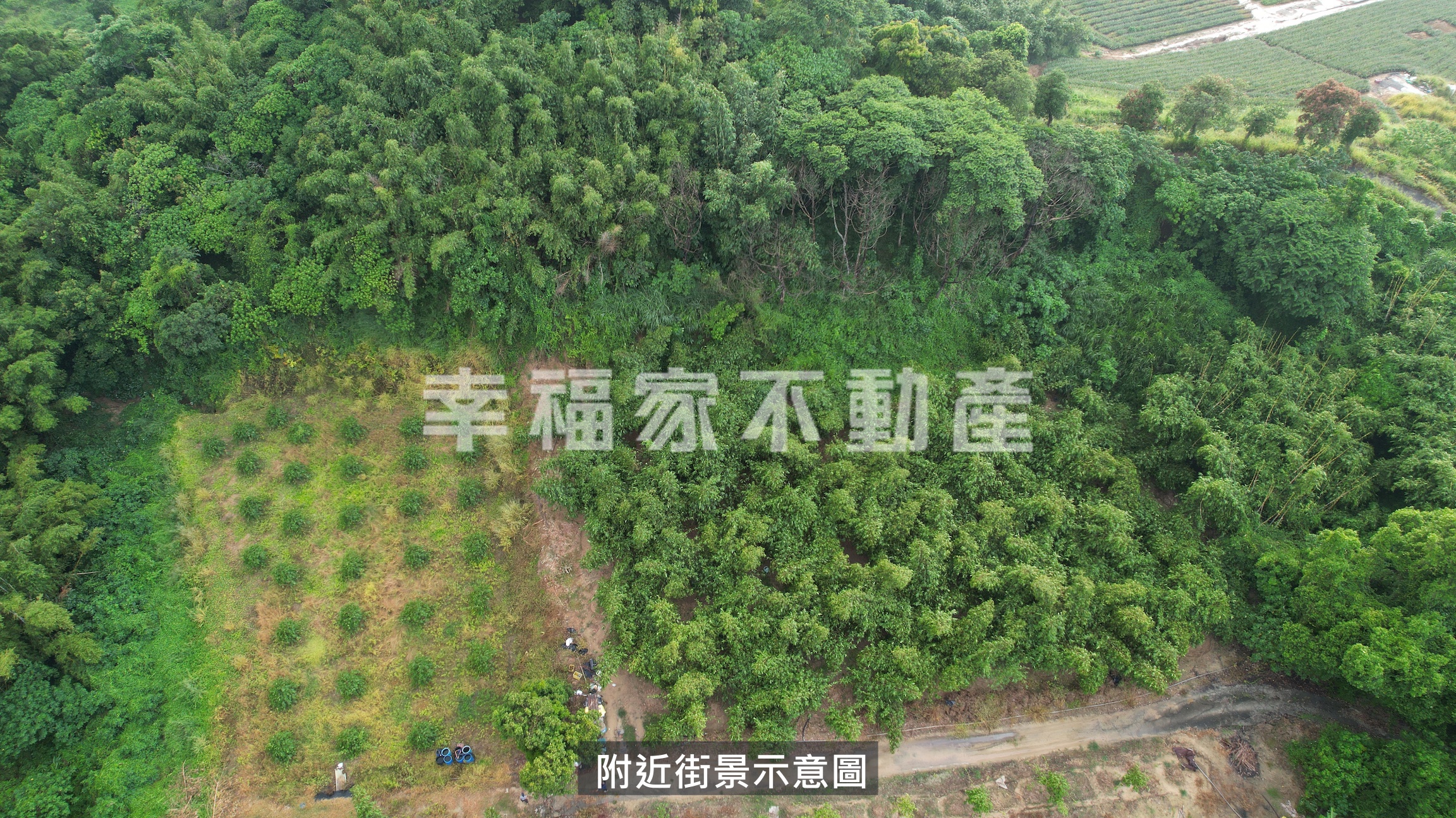 關廟蒼翠欲滴休閒美農地