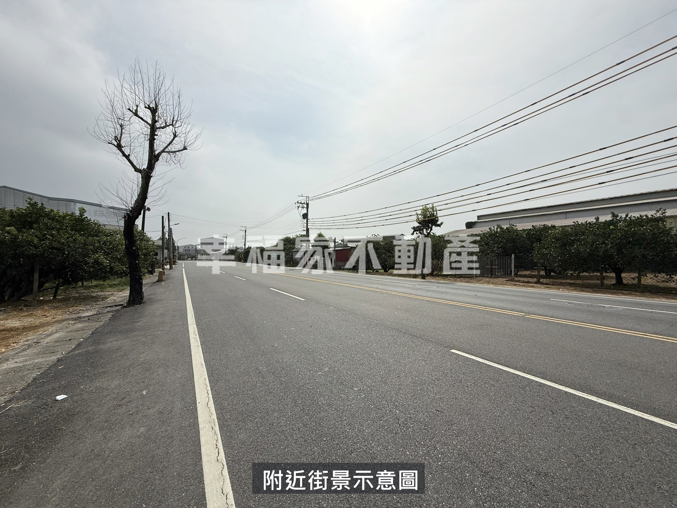 麻豆適自地自建美建地