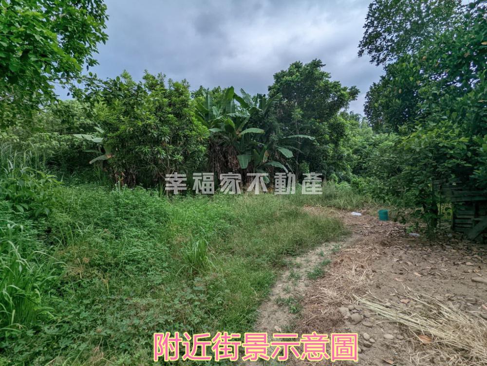 大內10米路持分農地