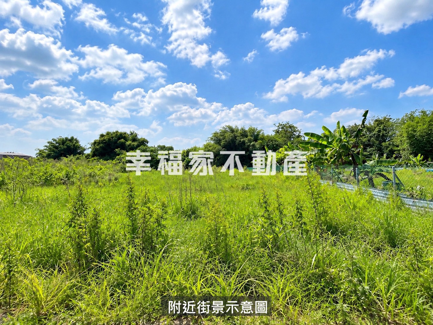 專-歸仁市區大面寬都內農地