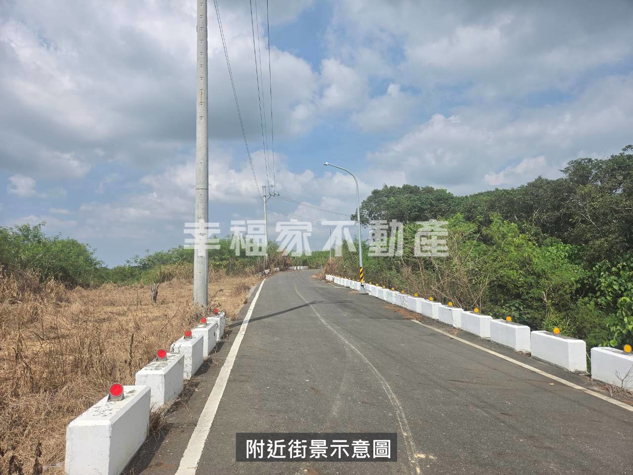關廟新埔段有路低總價鳳梨園